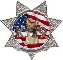 Sheriff decal reflective 2