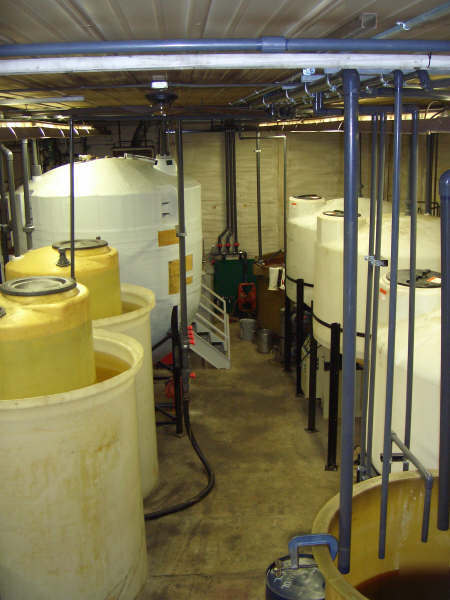 Biodiesel transesterification process system