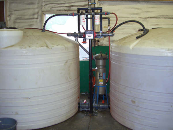 Biodiesel transesterification process system