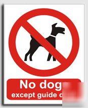 No dogs x g.dogs sign-s. rigid-300X400MM(pr-019-rm)