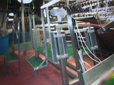 Complete poultry evisceration line, chicken processing