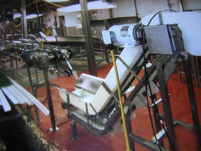 Complete poultry evisceration line, chicken processing