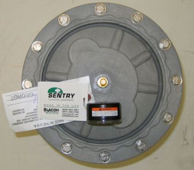 Blacoh sentry pulsation dampener C901ND 150PSI 175CU in