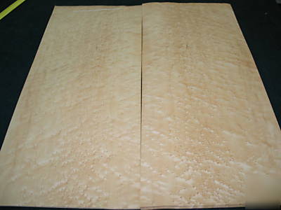 1/32TH thick birdseye maple veneer 30 sq. ft. lot 3104