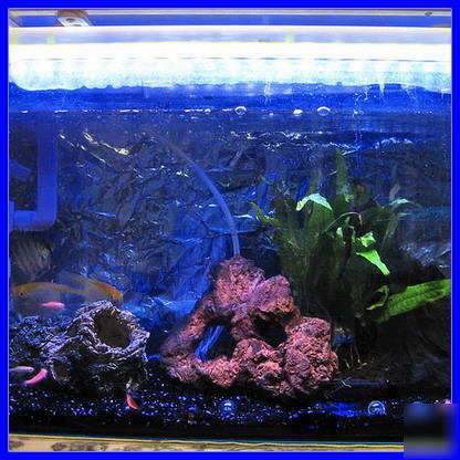Blue bright led tube light strip aquarium TB1