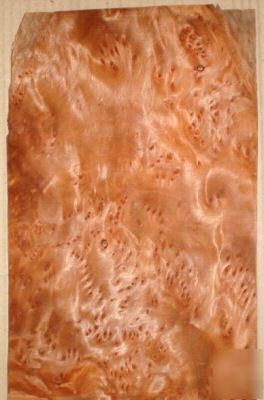 Redwood burl veneer - 16 pcs / 12.75 sq ft 