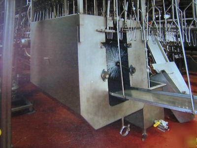 Complete poultry evisceration line, chicken processing